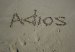 decir_adios