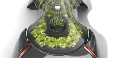 ecologico5