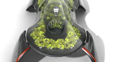 ecologico5