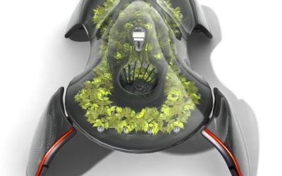 ecologico5