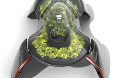 ecologico5