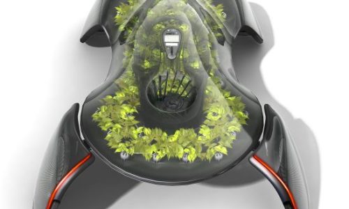 ecologico5