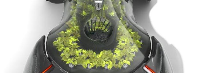 ecologico5