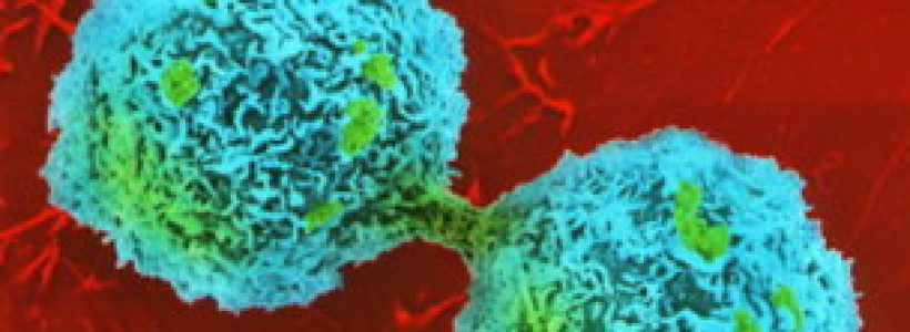 hepaticas