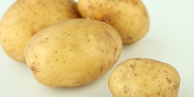 papas9687656856