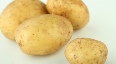 papas9687656856