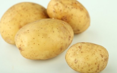 papas9687656856