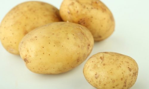 papas9687656856
