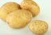 papas9687656856