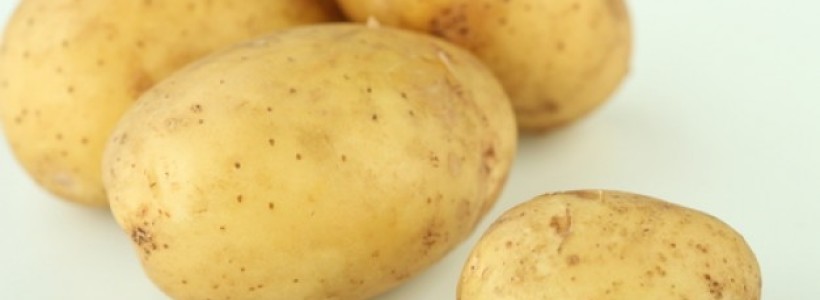 papas9687656856
