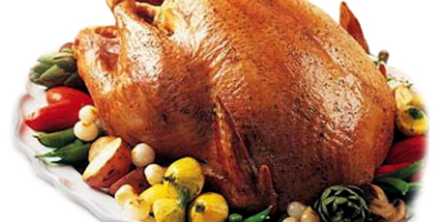 pavo_de_thanksgiving