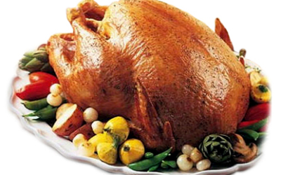 pavo_de_thanksgiving