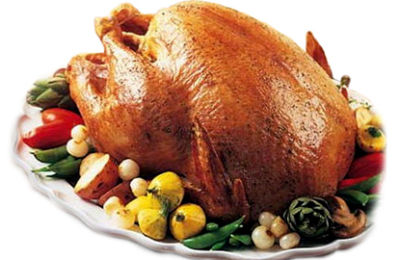 pavo_de_thanksgiving