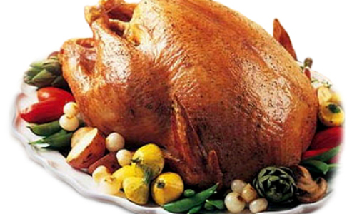 pavo_de_thanksgiving
