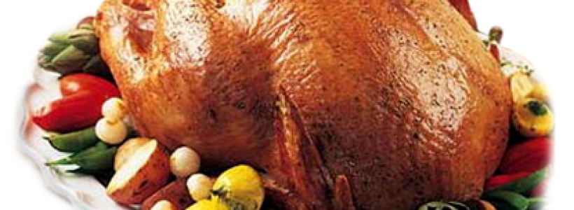 pavo_de_thanksgiving