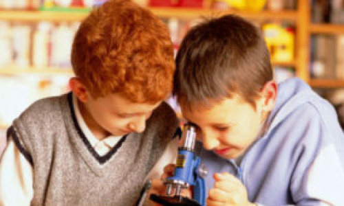 111230120220_educacion_304x171_spl_nocredit