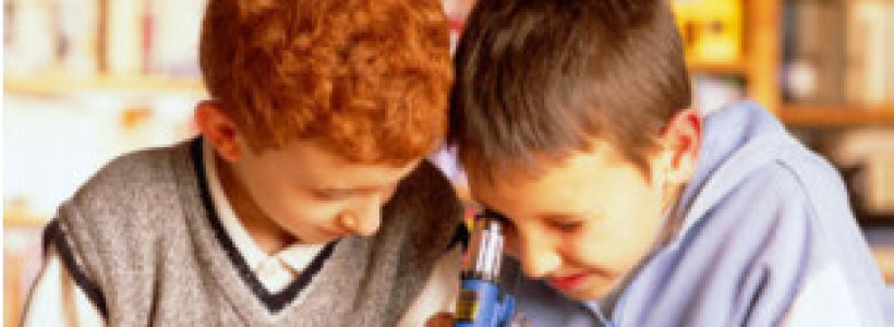 111230120220_educacion_304x171_spl_nocredit