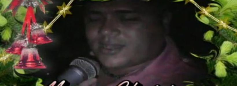 Fiesta_Navidea_Politur_2011