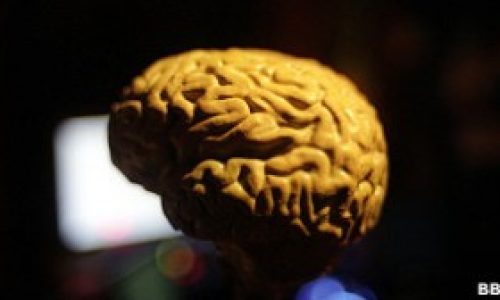 Las-vitaminas-y-omega-3-evitan-el-encogimiento-del-cerebro-asociado-a-Alzheimer-300x168