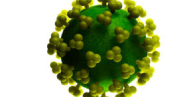 Una_proteina_en_el_semen_ayuda_al_VIH_a_adherirse_a_las_celulas_para_infectarlas