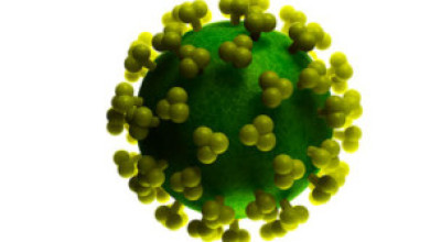 Una_proteina_en_el_semen_ayuda_al_VIH_a_adherirse_a_las_celulas_para_infectarlas
