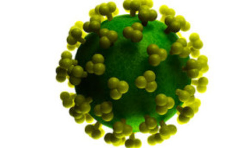 Una_proteina_en_el_semen_ayuda_al_VIH_a_adherirse_a_las_celulas_para_infectarlas
