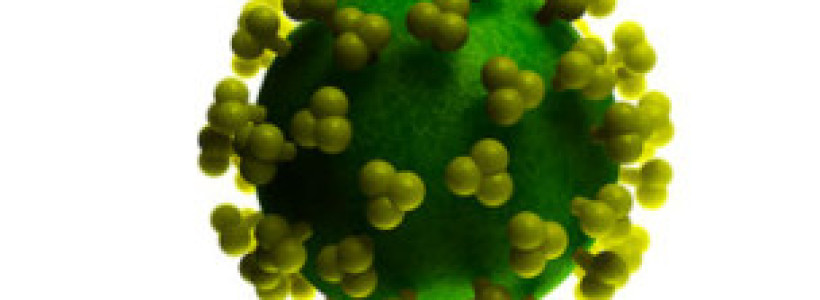 Una_proteina_en_el_semen_ayuda_al_VIH_a_adherirse_a_las_celulas_para_infectarlas