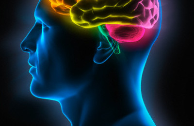 cerebro35y7g4bf2e38957y4o58