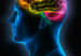 cerebro35y7g4bf2e38957y4o58