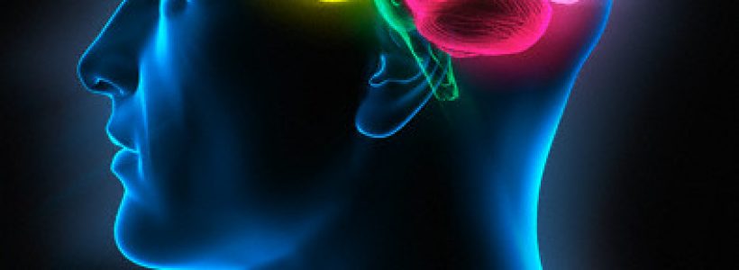 cerebro35y7g4bf2e38957y4o58
