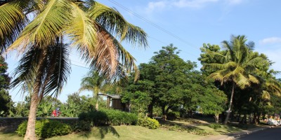 resized_IMG_2535