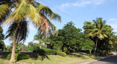 resized_IMG_2535