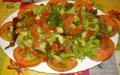 tomates-con-albahaca