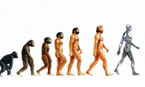 120104151033_evolucion__304x171_sciencephotolibrary_nocredit