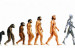 120104151033_evolucion__304x171_sciencephotolibrary_nocredit
