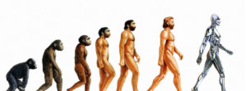 120104151033_evolucion__304x171_sciencephotolibrary_nocredit