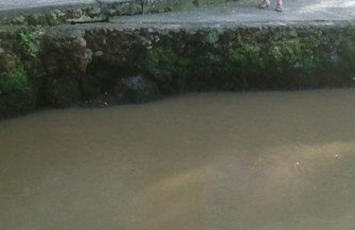 17514b8d76391f2e346f3959ce956286_XL