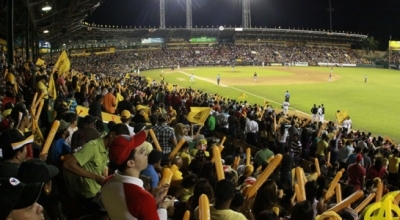 AC_LEON_29012012331