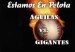 ESTAMOS_EN_PELOTA1