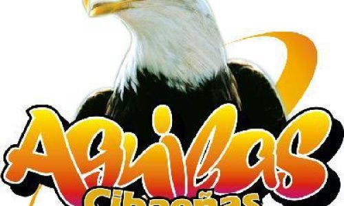 aguilas_con_ventilador_artificial