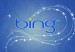 bing-min2-800x540