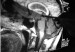 brain630-300x241