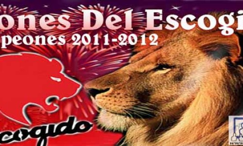 leones_campeones