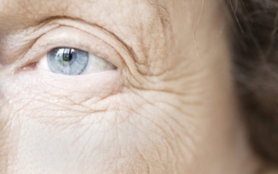 macular6478576476