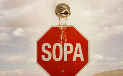 sopa4rgh9ghwe8yh95hn2r4ikn24589jnrfintr4