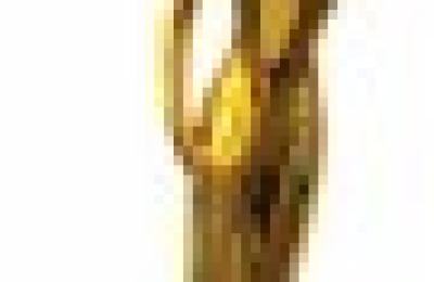 6a00d834518de369e20168e6d473f5970c-800wi