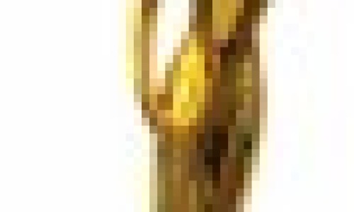 6a00d834518de369e20168e6d473f5970c-800wi