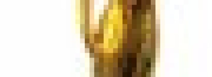 6a00d834518de369e20168e6d473f5970c-800wi