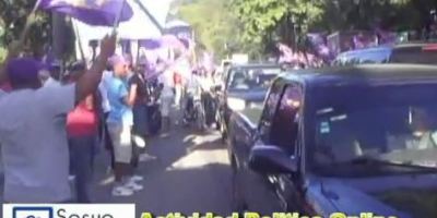 Actividad_politica_online_-_pld