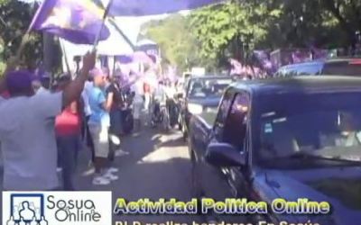 Actividad_politica_online_-_pld